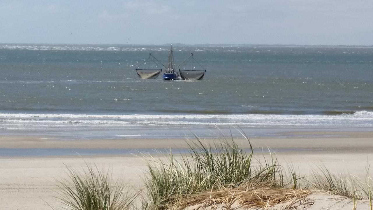 Chalet Duinzicht G68 Ameland Buren  Exterior foto